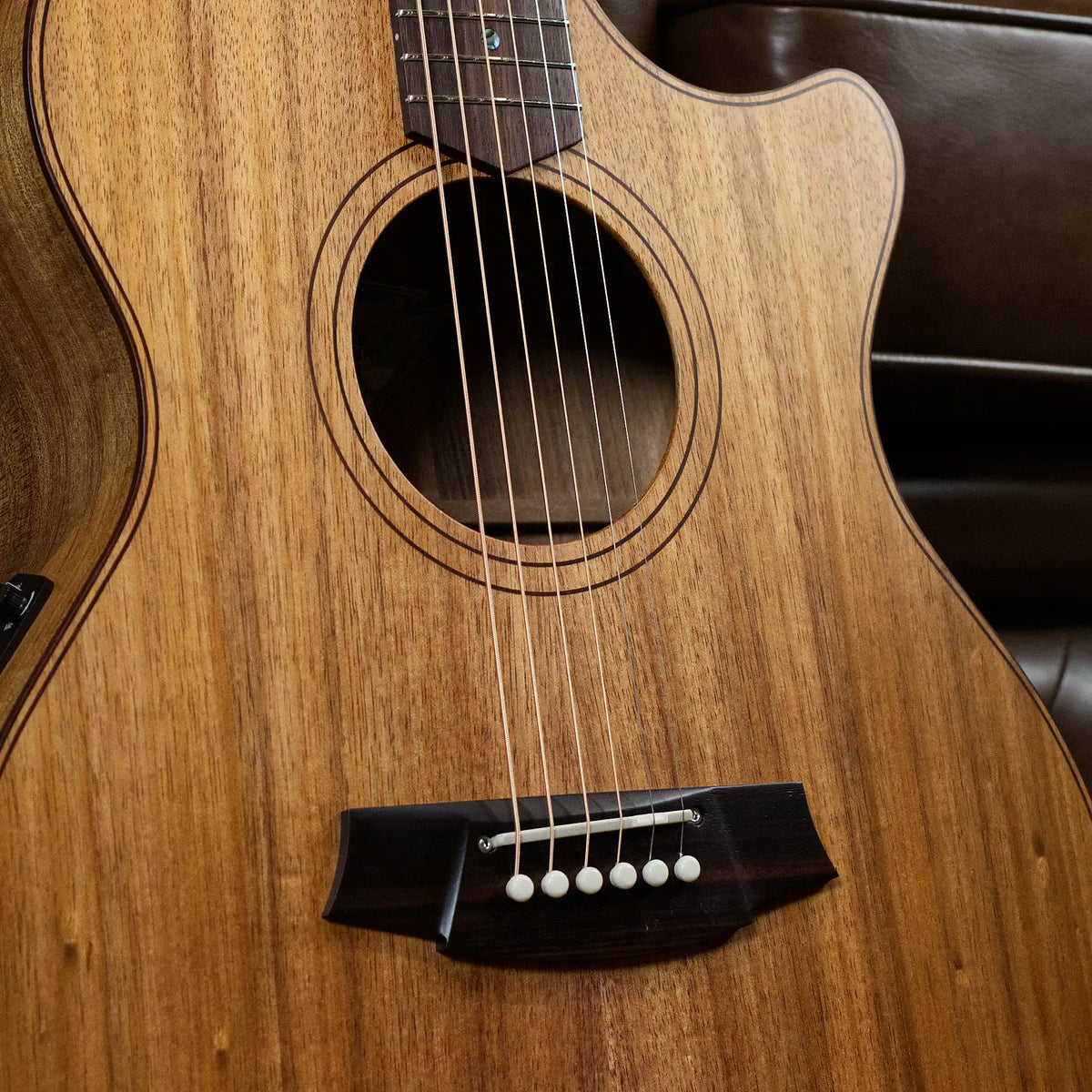 Cole Clark Touring Series AN2EC All-Blackwood Grand Auditorium Acoustic Guitar