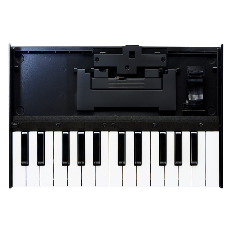 Roland Boutique K-25m Keyboard ; Roland Boutique K-25m Keyboard Unit
