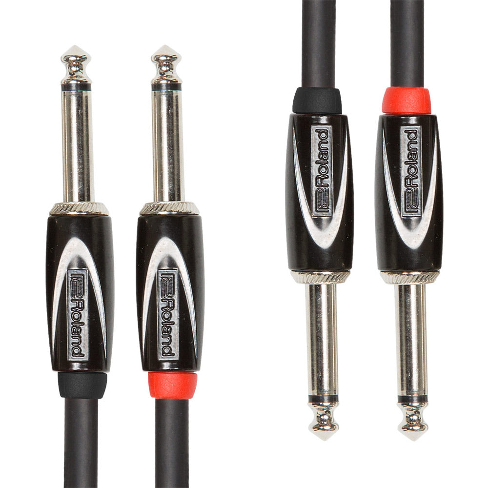 Roland RCC-10-2814 10ft Dual 1/4" TS to 1/4" TS Cable