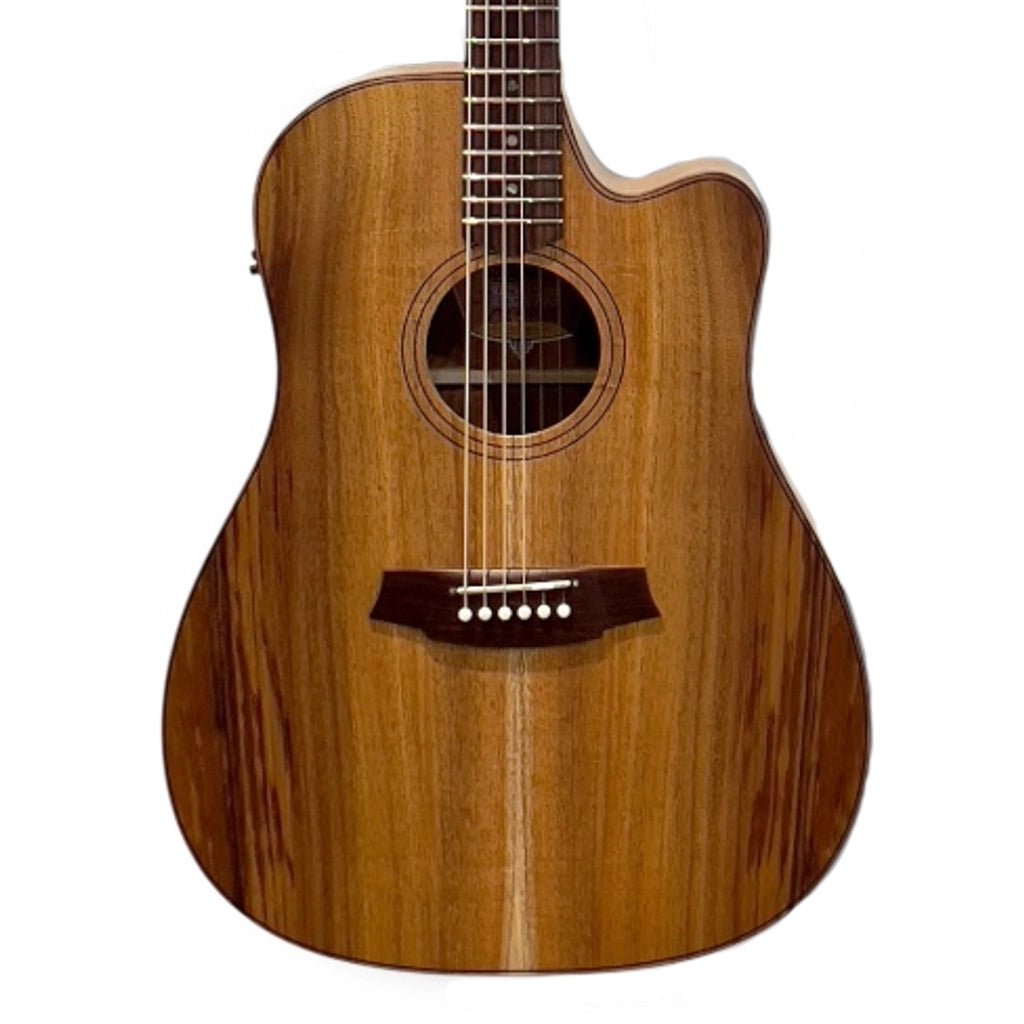Cole Clark Touring Series FL2EC All-Blackwood Dreadnought Acoustic Guitar