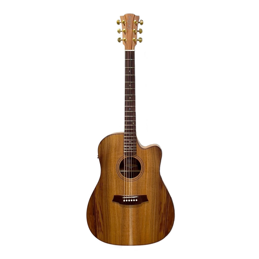 Cole Clark Touring Series FL2EC All-Blackwood Dreadnought Acoustic Guitar