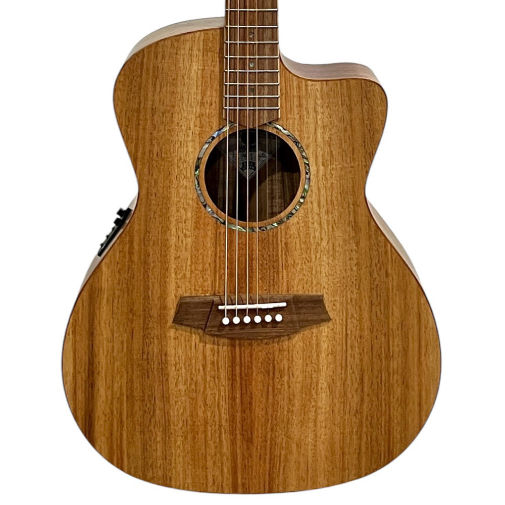 Cole Clark SAN1EC-BLBL Body View ; Cole Clark SAN1EC-BLBL Full View ; Cole Clark SAN1EC-BLBL Back View
