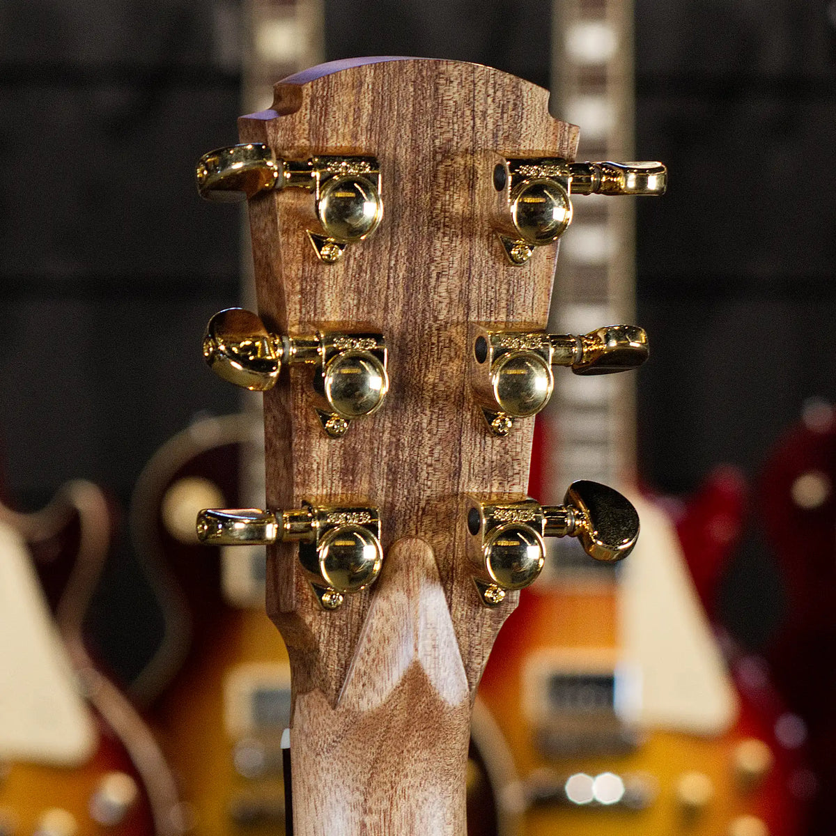 Cole Clark Touring Series AN2EC All-Blackwood Grand Auditorium Acoustic Guitar