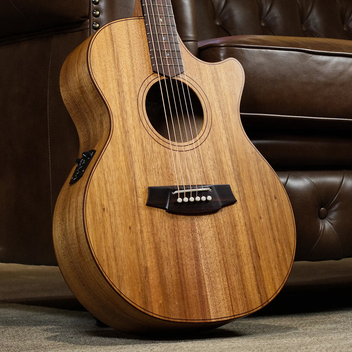 Cole Clark Touring Series AN2EC All-Blackwood Grand Auditorium Acoustic Guitar