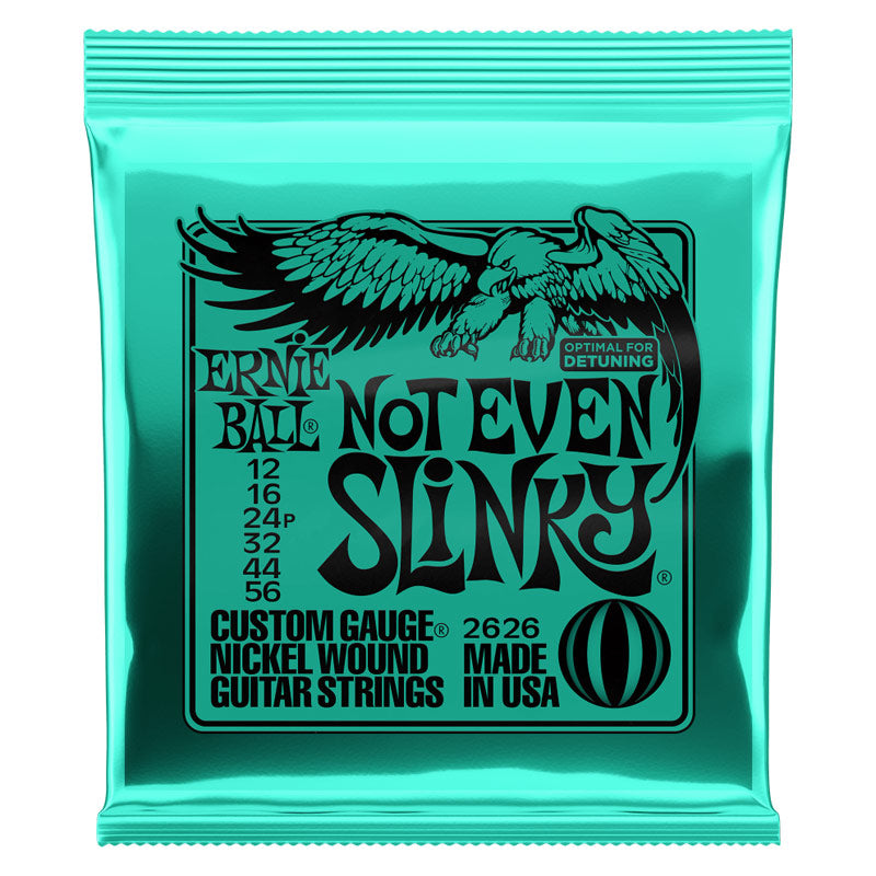 Ernie Ball Not Even Slinky