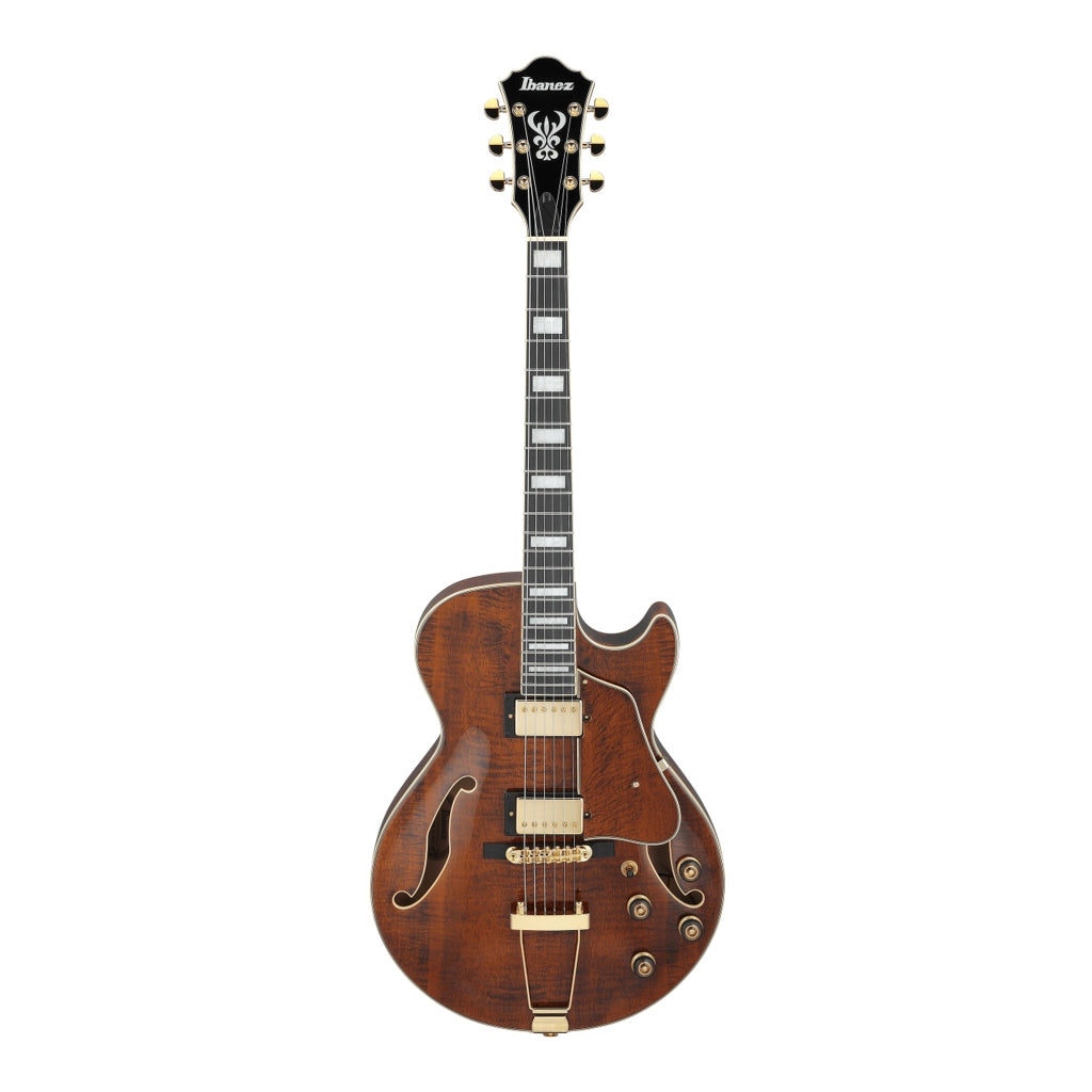 Ibanez Artcore Expressionist AG95MGDA Electric Guitar (Dark Amber)
