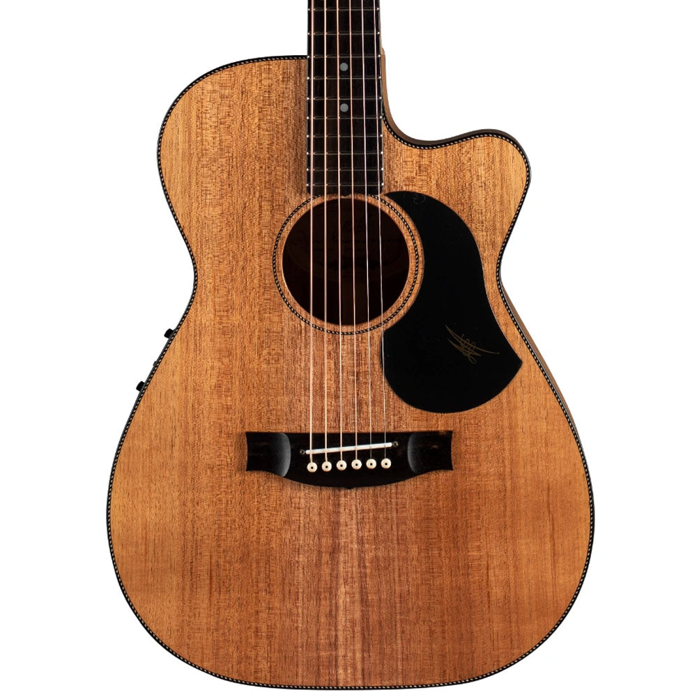 Maton EBW808C Acoustic Guitar ; Maton EBW808C Acoustic Guitar ; Maton EBW808C Headstock ; Maton EBW808C Blackwood Acoustic Guitar