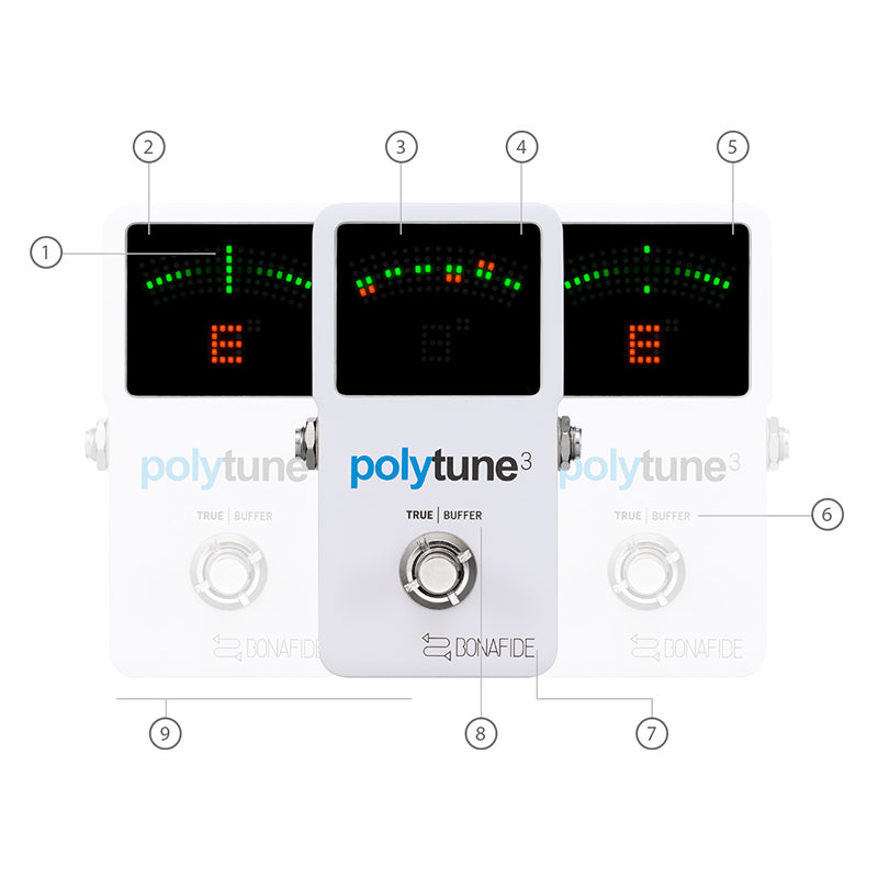 TC Electronic Polytune 3 | World of Music